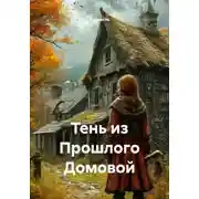 Постер книги Тень из Прошлого Домовой