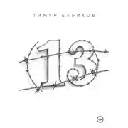 Постер книги 13