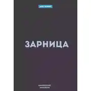 Постер книги Зарница
