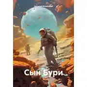 Постер книги Сын Бури