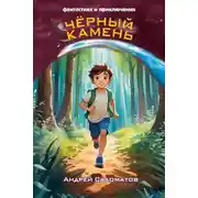 Постер книги Черный камень