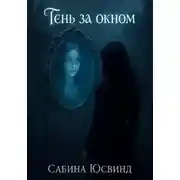 Постер книги Тень за окном
