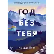 Постер книги Год без тебя