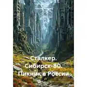 Постер книги Сталкер. Сибирск-80. Пикник в России