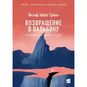 Постер книги Возвращение в Вальбону