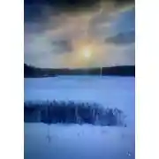 Постер книги Измайловский петроглиф или тайна Измайловского леса