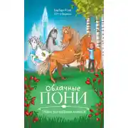 Постер книги Облачные пони. Тайна волшебных камней