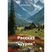 Постер книги Рассказ «Шурик».
