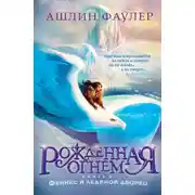 Постер книги Феникс и ледяной дворец