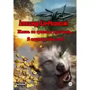 Постер книги Жизнь из грязных кусочков… Я создал себе сам!