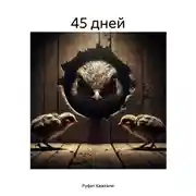 Постер книги 45 дней