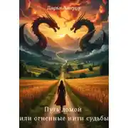 Постер книги Путь домой или огненные нити судьбы