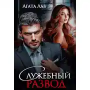 Постер книги Служебный развод