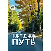 Постер книги Тормозной путь