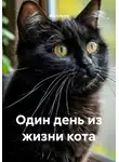 Black Fenix - Один день из жизни кота