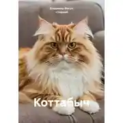 Постер книги Коттабыч