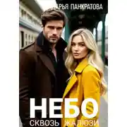 Постер книги Небо сквозь жалюзи