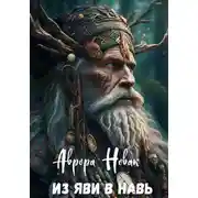 Постер книги Из Яви в Навь
