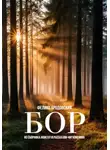Феликс Бродовский - Бор