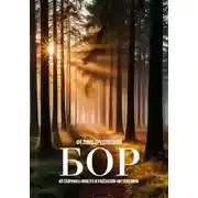 Постер книги Бор