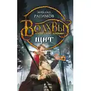 Постер книги Щит