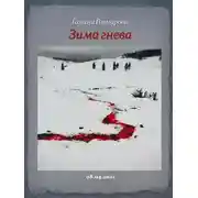 Постер книги Зима гнева