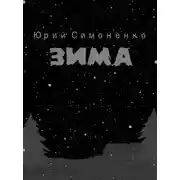 Постер книги Зима