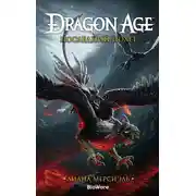 Постер книги Последний полет