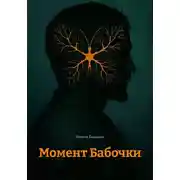 Постер книги Момент Бабочки