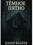 Назар Валеев - Тёмное пятно