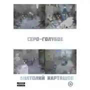 Постер книги серо-голубое