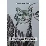 Постер книги Команда Случая