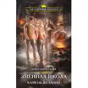 Постер книги Камень желаний