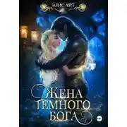 Постер книги Жена темного бога