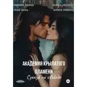 Постер книги Академия крылатого пламени. Суккуб на свободе