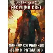 Постер книги Несущий свет