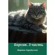 Постер книги Барсик. 3 часть