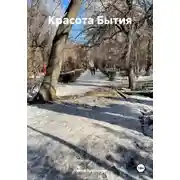 Постер книги Красота бытия