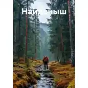 Постер книги Найденыш