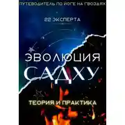 Постер книги Эволюция Садху: 22 эксперта