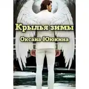 Постер книги Крылья зимы