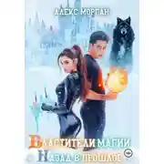 Постер книги Властители магии. Назад в прошлое. Книга 2