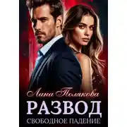 Постер книги Развод. Свободное падение