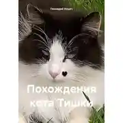 Постер книги Похождения кота Тишки
