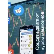 Постер книги Соцсети двигают курсы мемкоинов
