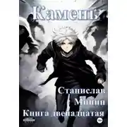 Постер книги Камень. Книга двенадцатая