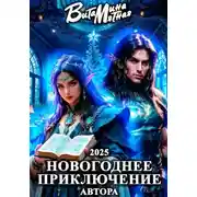 Постер книги Новогоднее приключение автора 2025