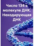 Закия Байгужина - Число 134 в молекуле ДНК. Некодирующая ДНК
