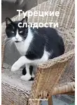 Анна Маслякова - Турецкие сладости
