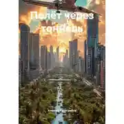 Постер книги Полёт через тоннель